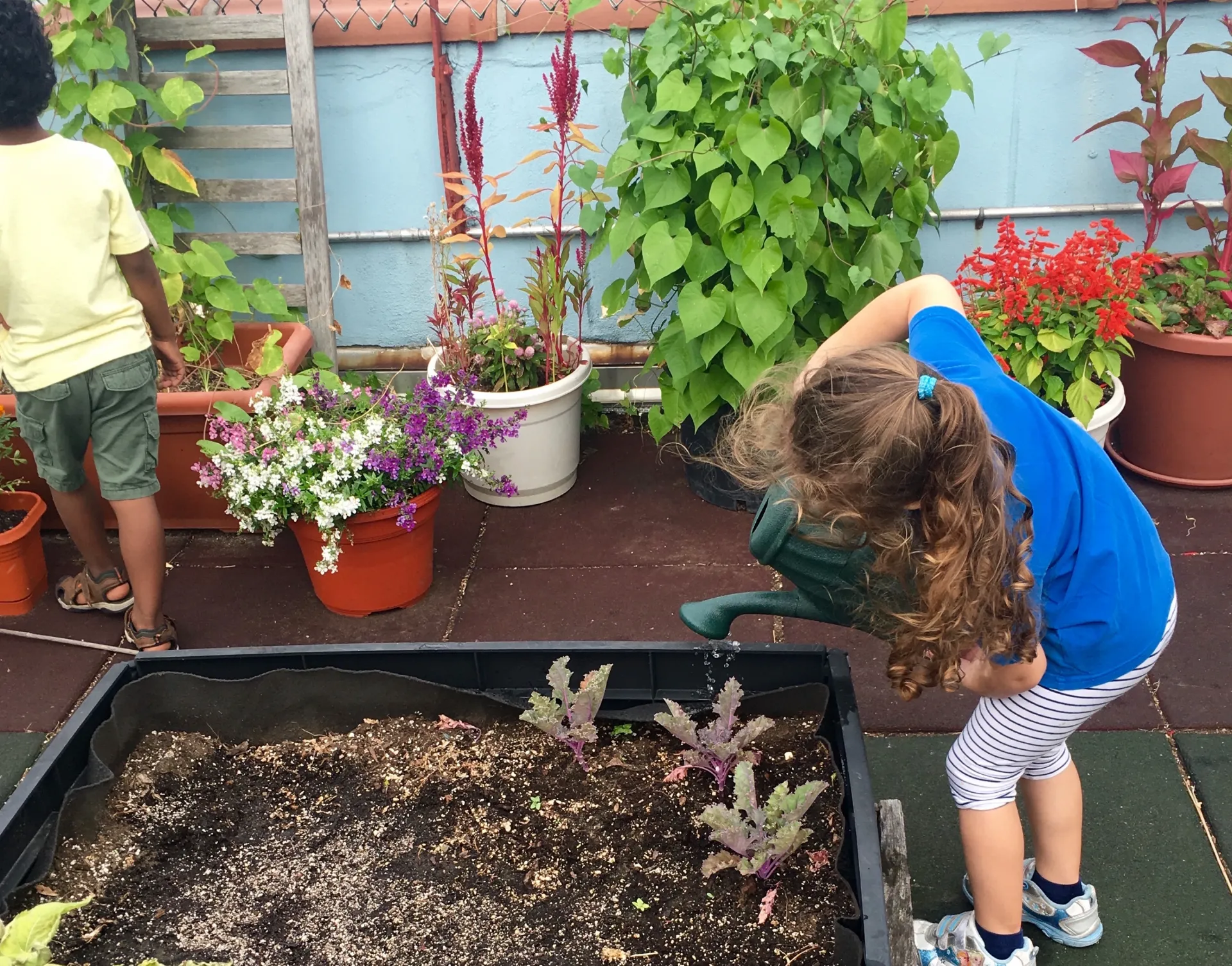 watering the garden