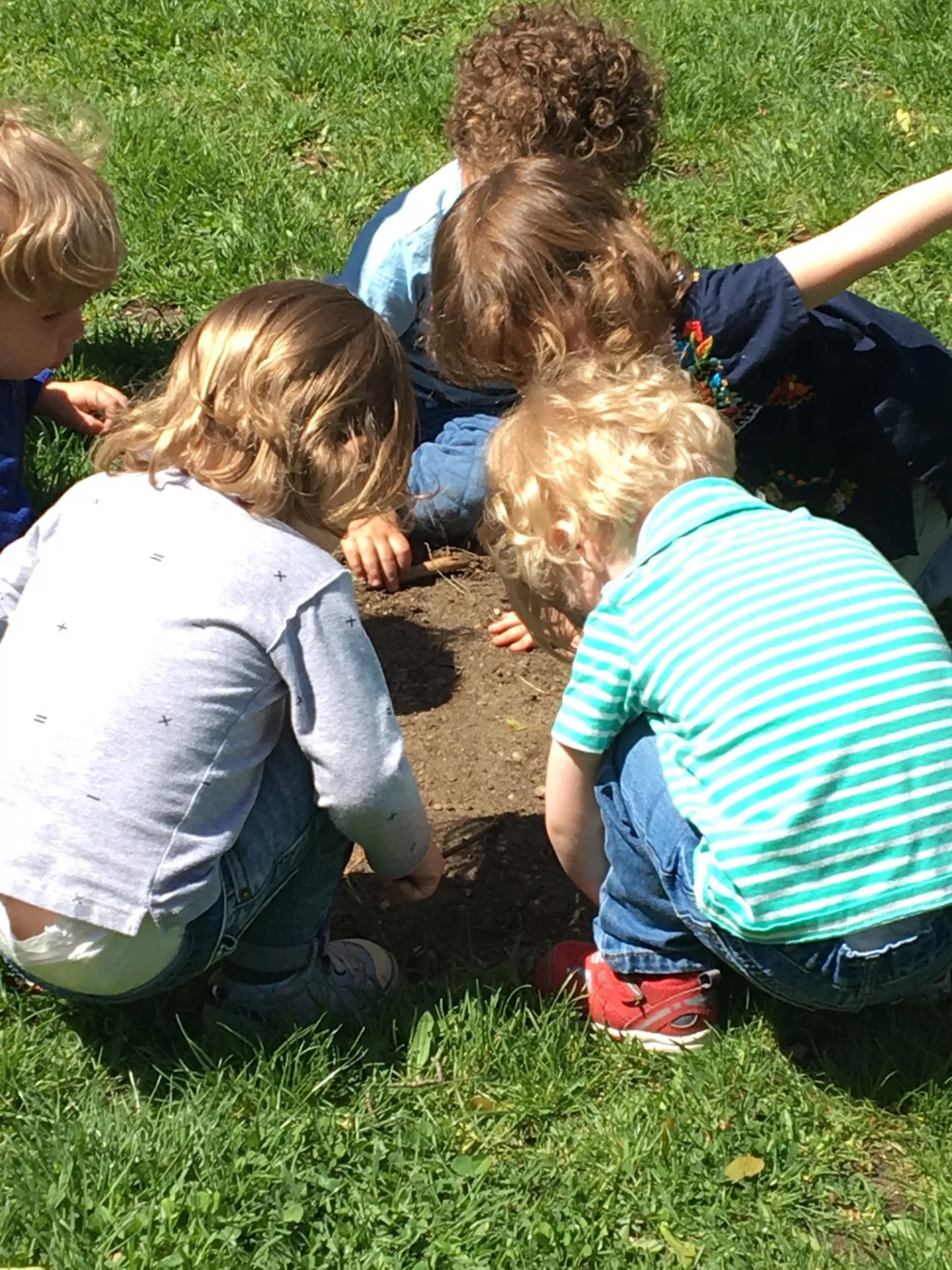 Digging in the dirt